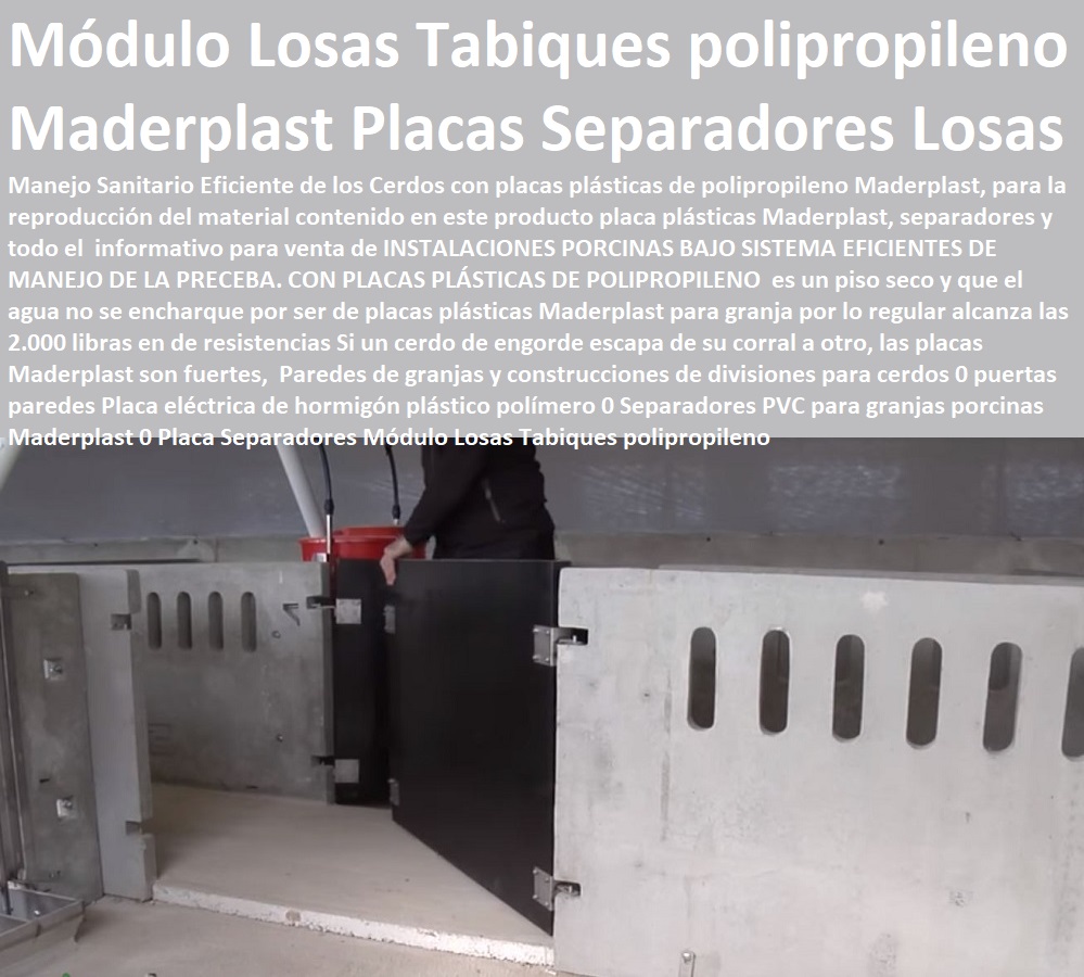 Paredes de granjas y construcciones de divisiones para cerdos 0 puertas paredes Placa eléctrica de hormigón plástico polímero 0 Separadores PVC para granjas porcinas Maderplast 0 lechonera, destete, jaula pre ceba porcinos, corraleja, ceba, engorde cerdos, porqueriza cría de lechones, pisos jaulas comederos, porcicultura jaulas, corrales, parideras, porcinas corral, gestación cerdas, parto cerda, Placa Separadores Módulo Losas Tabiques polipropileno Paredes de granjas y construcciones de divisiones para cerdos 0 puertas paredes Placa eléctrica de hormigón plástico polímero 0 Separadores PVC para granjas porcinas Maderplast 0 Placa Separadores Módulo Losas Tabiques polipropileno